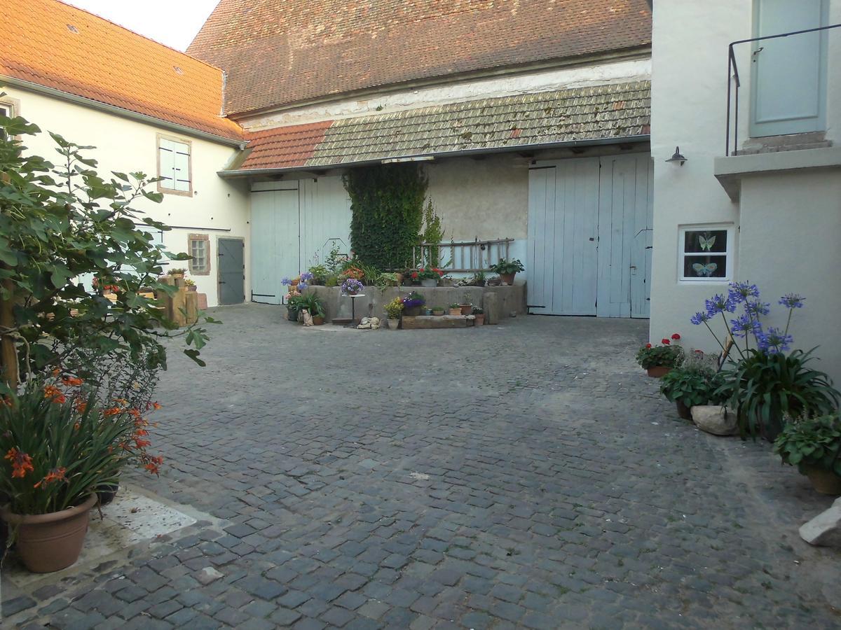 Gaestezimmer Mittelgasse Florsheim-Dalsheim Eksteriør bilde
