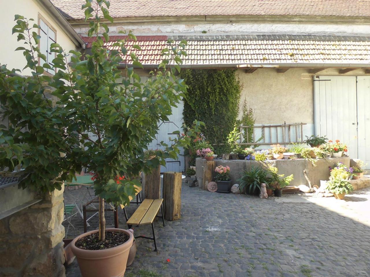 Gaestezimmer Mittelgasse Florsheim-Dalsheim Eksteriør bilde